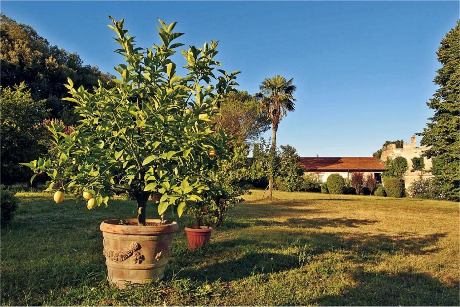 Fattoria Agriturismo Bigongiari Lucca Exteriör bild
